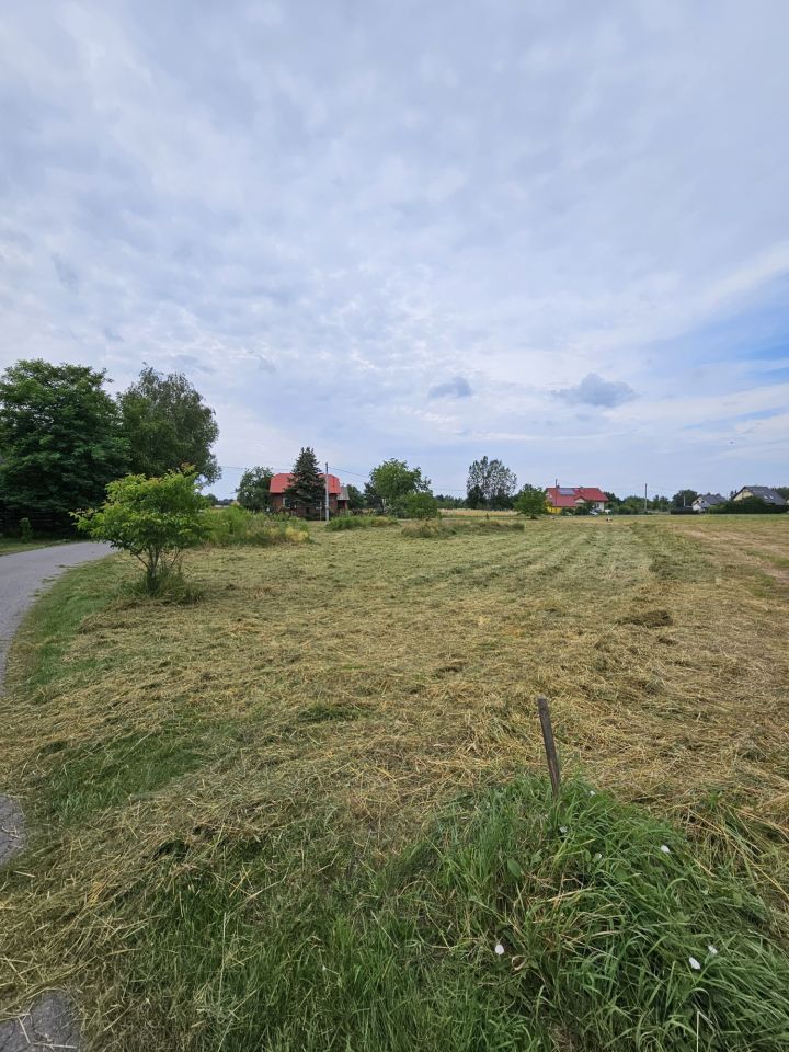 Działka rolno-budowlana Głuchów. Zdjęcie 3