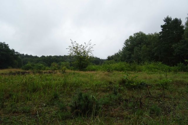 Działka budowlana Ruda Śląska Stara Kuźnia. Zdjęcie 1