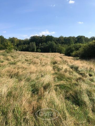 Działka rolna Huta Wielka. Zdjęcie 2