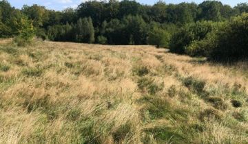 Działka rolna Huta Wielka