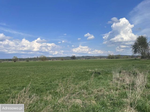 Działka budowlana Pyrzany. Zdjęcie 1