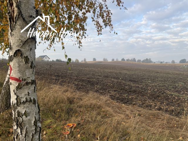 Działka budowlana Sternowo. Zdjęcie 12