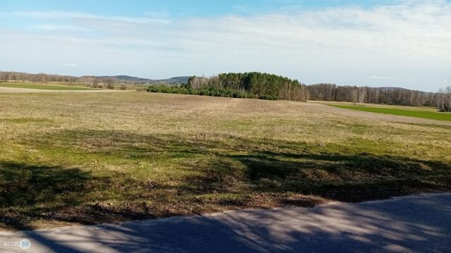 Działka leśna Strawczyn. Zdjęcie 4