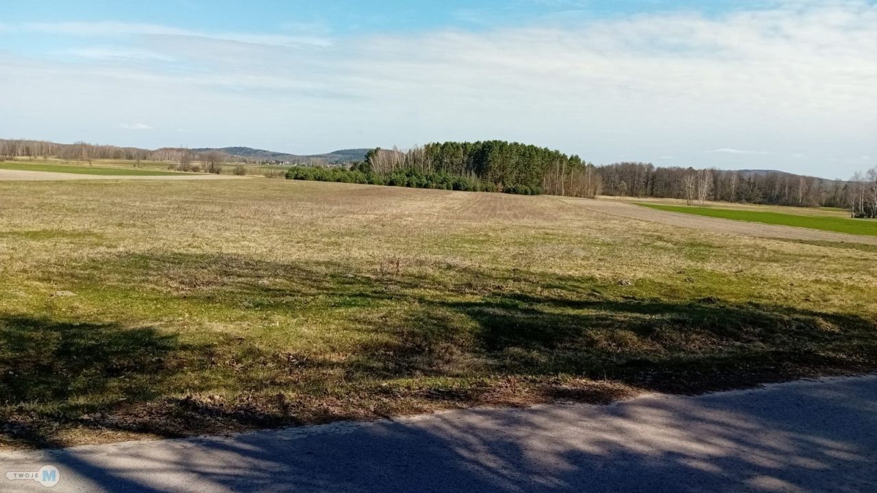 Działka leśna Strawczyn. Zdjęcie 4