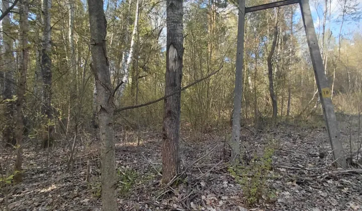 Działka rolna Przybynów, ul. Łąkowa