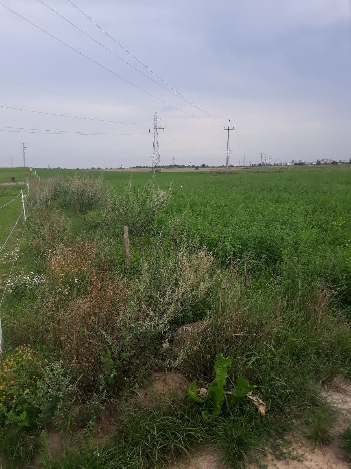 Działka budowlana Gniezno, ul. Okopowa. Zdjęcie 5