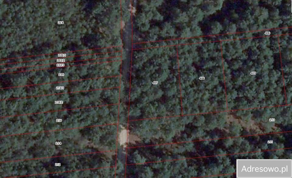 Działka rekreacyjna Wólka Dłużewska. Zdjęcie 2