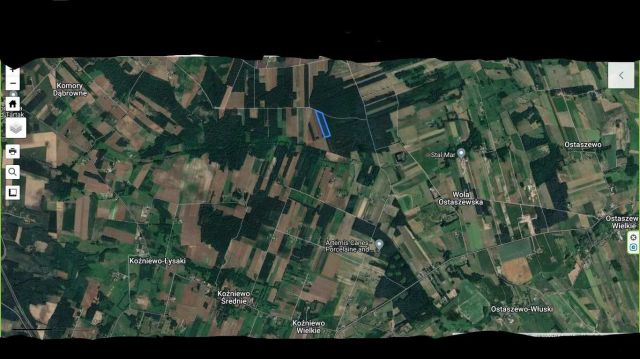 Działka leśna Marusy. Zdjęcie 1