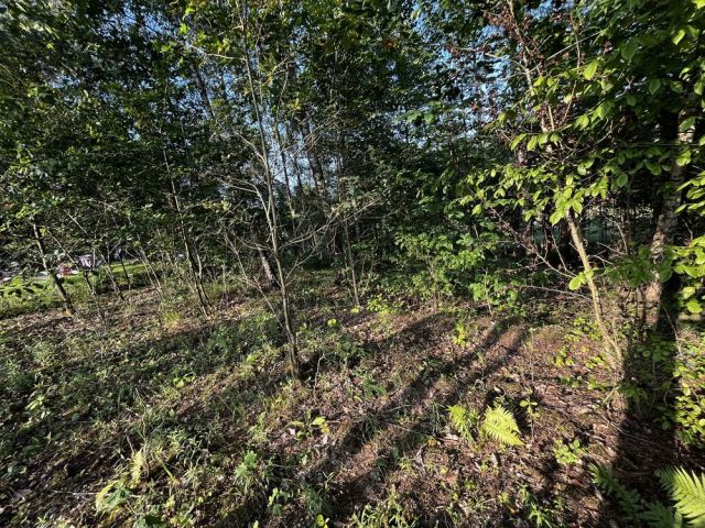 Działka rekreacyjna Kiełpiny. Zdjęcie 1