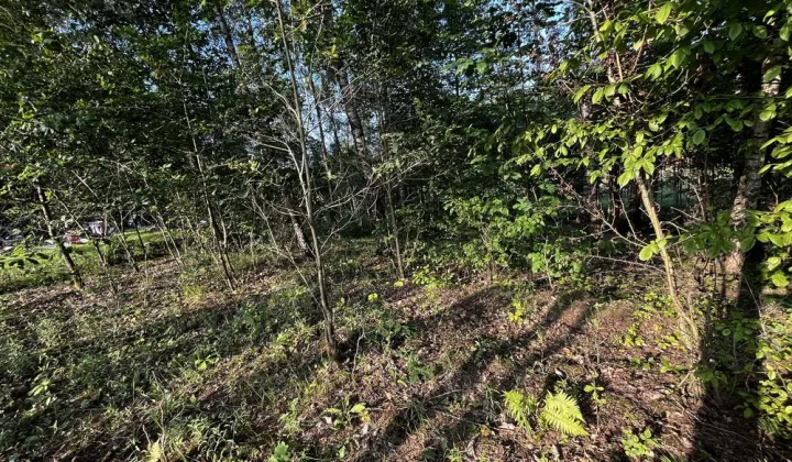 Działka rekreacyjna Kiełpiny