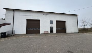 Hala/magazyn Tarczyn