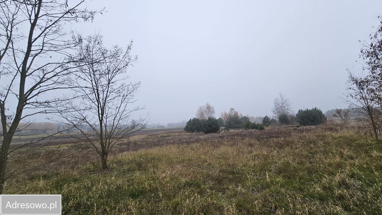 Działka rolna Nowa Wola. Zdjęcie 5