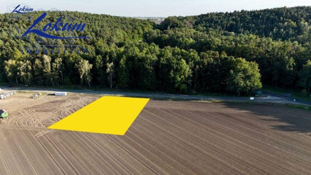 Działka budowlana Osieczna, ul. dr. Bronisława Świderskiego. Zdjęcie 4