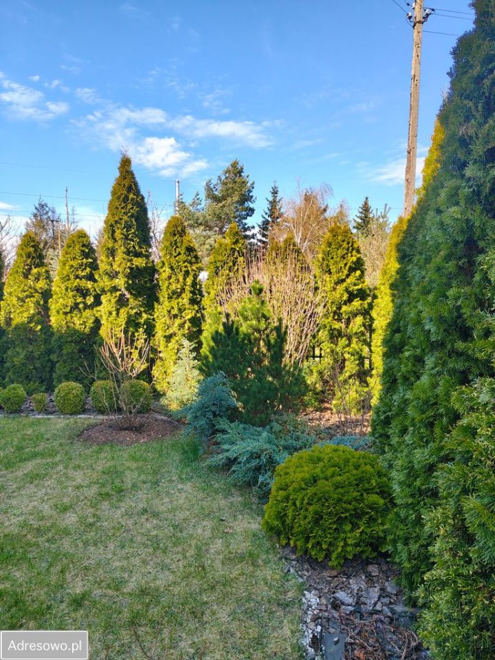 dom wolnostojący, 4 pokoje Łowicz, ul. Strzelczewska. Zdjęcie 9