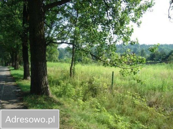 Działka inwestycyjna Bytom. Zdjęcie 4