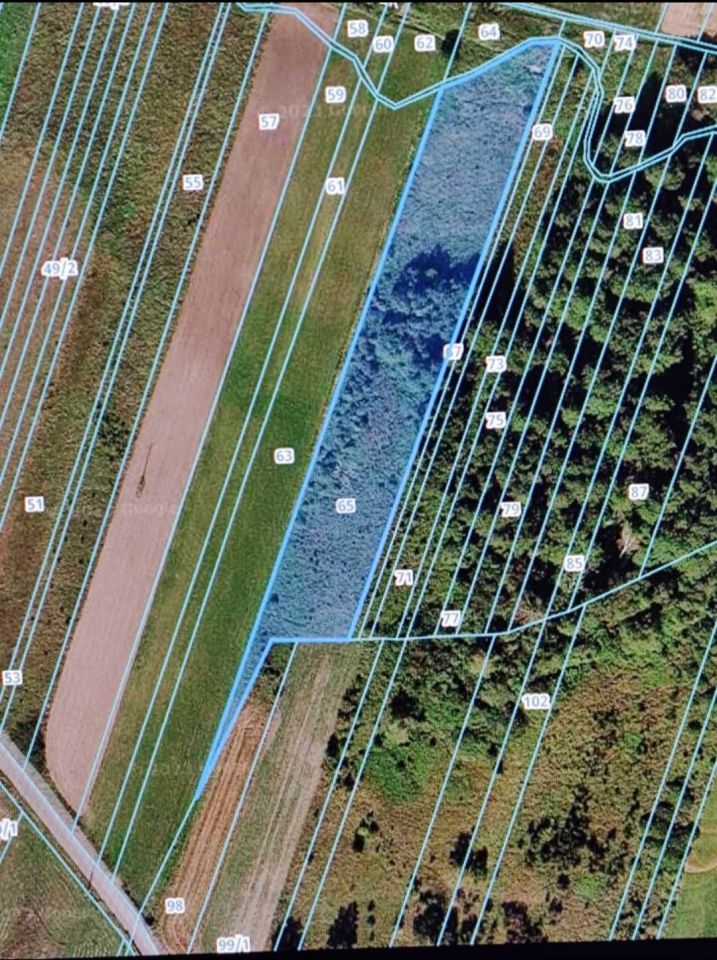 Działka inwestycyjna Zakrzew. Zdjęcie 2