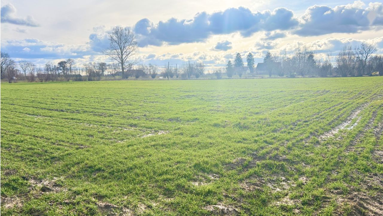Działka rolno-budowlana Stegienka. Zdjęcie 2