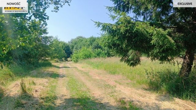 Działka rolna Radawka. Zdjęcie 5