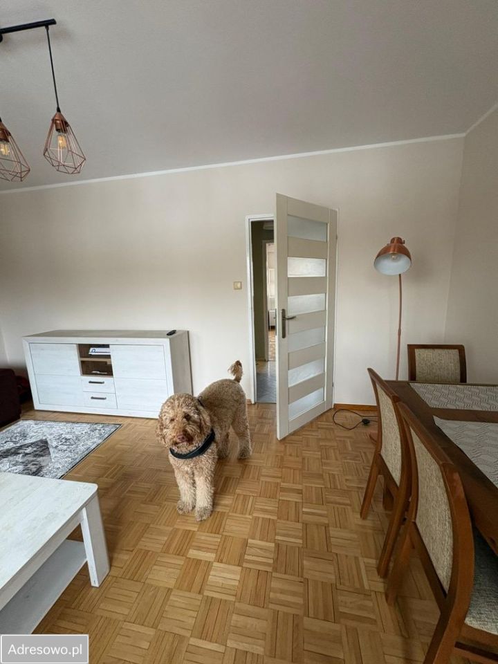 Mieszkanie 2-pokojowe Białystok Słoneczny Stok, ul. Skrajna. Zdjęcie 7