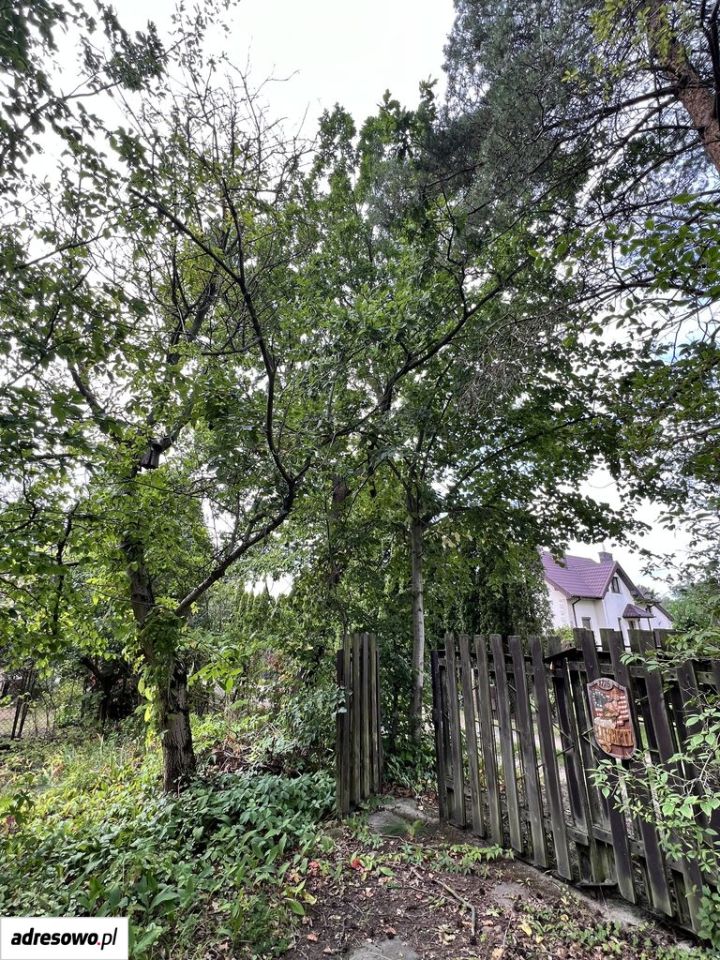 Działka budowlana Siestrzeń. Zdjęcie 18