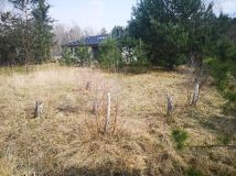 Działka rolno-budowlana Mazewo Dworskie"A". Zdjęcie 1