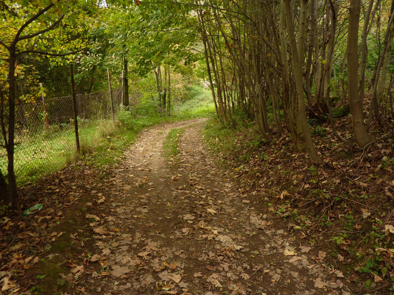 Działka rolna Pewel Wielka Garleje. Zdjęcie 31