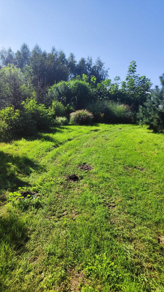 siedlisko, 6 pokoi Kwiatków. Zdjęcie 6