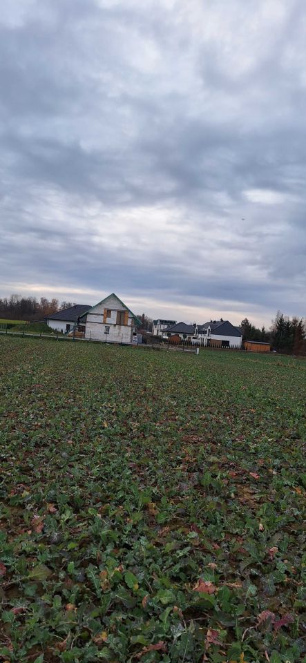 Działka budowlana Ciecierzyn. Zdjęcie 4