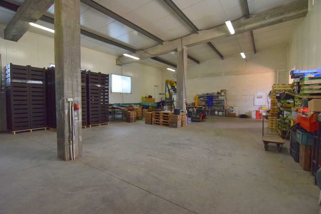 Hala/magazyn Topolany. Zdjęcie 2