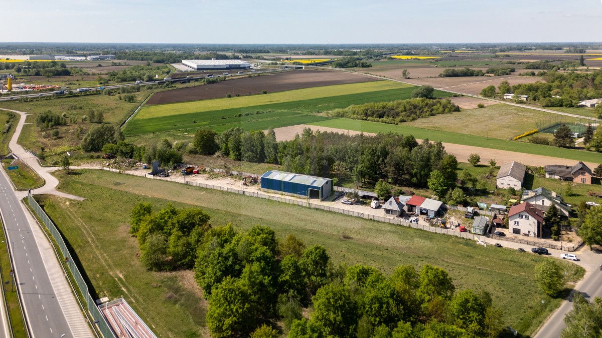 Działka inwestycyjna Tłuste. Zdjęcie 9
