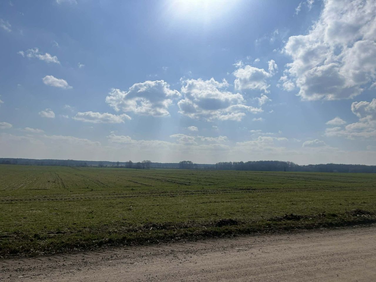 Działka budowlana Rudnicze Rudniczyn, Rudniczyn. Zdjęcie 1