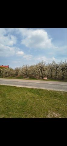 Działka rolna Koprzywnica. Zdjęcie 1