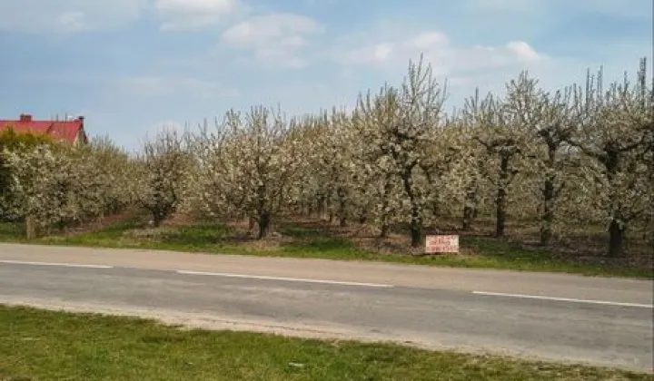 Działka rolna Koprzywnica