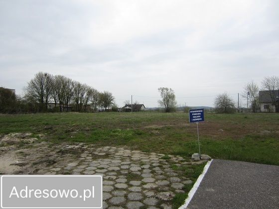 Hala/magazyn Russocice. Zdjęcie 17