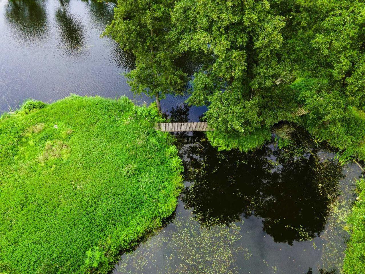 dworek Staroźreby. Zdjęcie 3