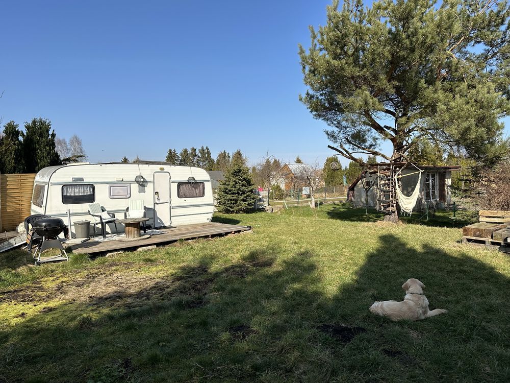 Działka rod Rumia Janowo, ul. Kazimierska. Zdjęcie 5