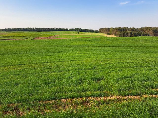 Działka budowlana Łyskowo. Zdjęcie 1