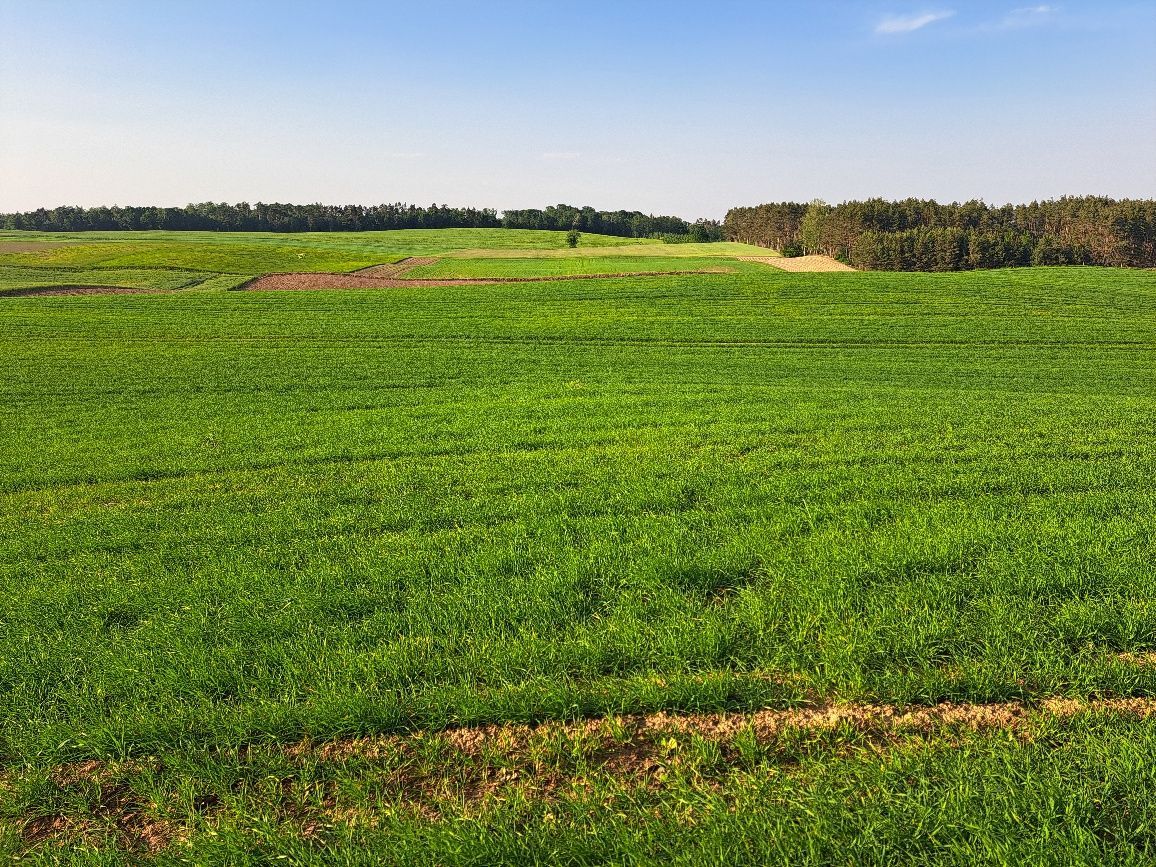 Działka budowlana Łyskowo