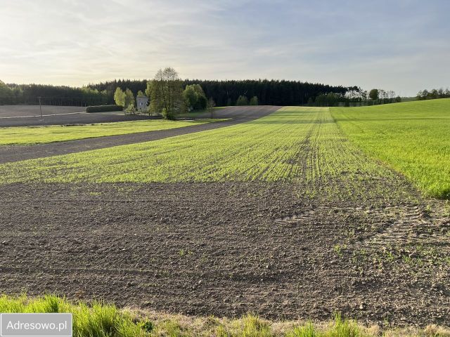 Działka rolna Kuligi. Zdjęcie 1