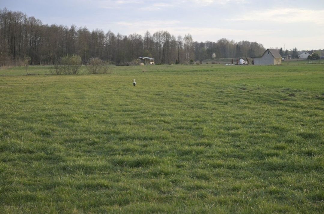 Działka budowlana Rutki-Begny. Zdjęcie 1