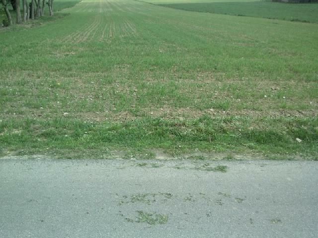 Działka budowlana Bogucin. Zdjęcie 6