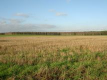 Działka budowlana Pietronki. Zdjęcie 3