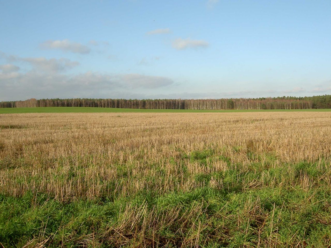 Działka budowlana Pietronki. Zdjęcie 4