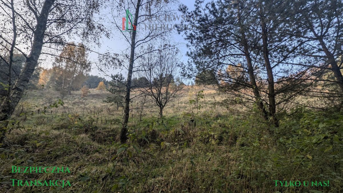 Działka inwestycyjna Głodowo. Zdjęcie 9