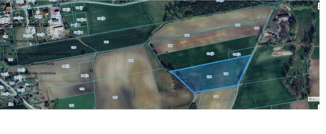 Działka rolna Pączewo. Zdjęcie 1