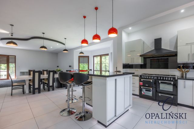 dom wolnostojący, 12 pokoi Puchacze. Zdjęcie 31