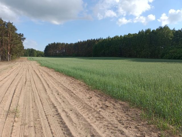 Działka budowlana Kwiatkowo. Zdjęcie 1