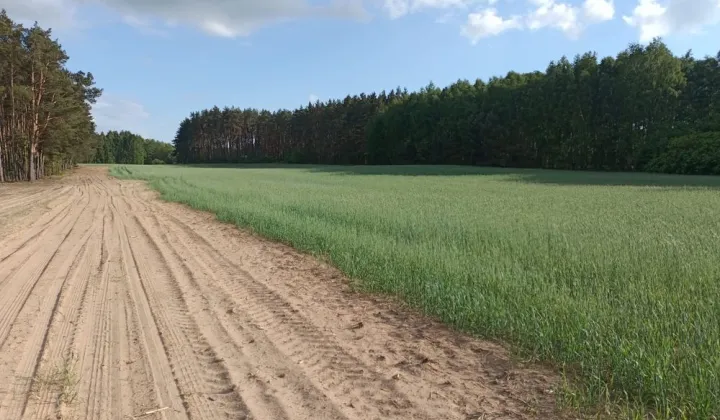 Działka budowlana Kwiatkowo