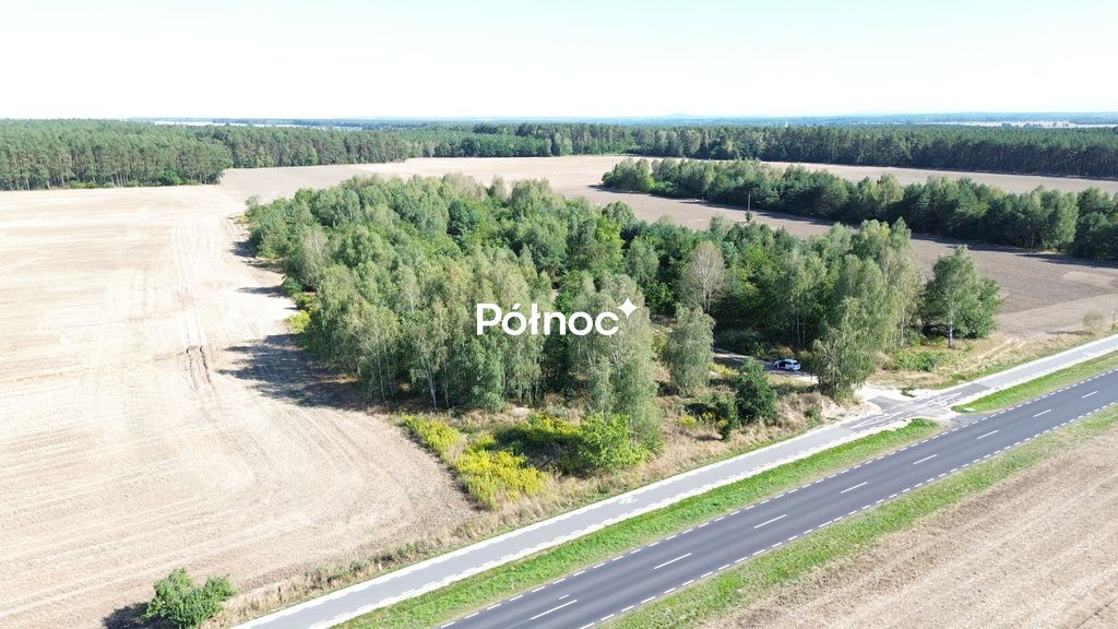 Działka inwestycyjna Dąbrowa Bolesławiecka. Zdjęcie 7