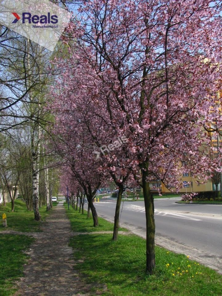 Działka inwestycyjna Warszawa Bemowo. Zdjęcie 9